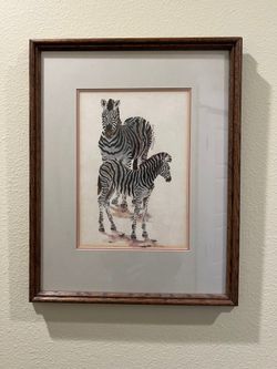 Zebra Framed Print By Sally Hewitt