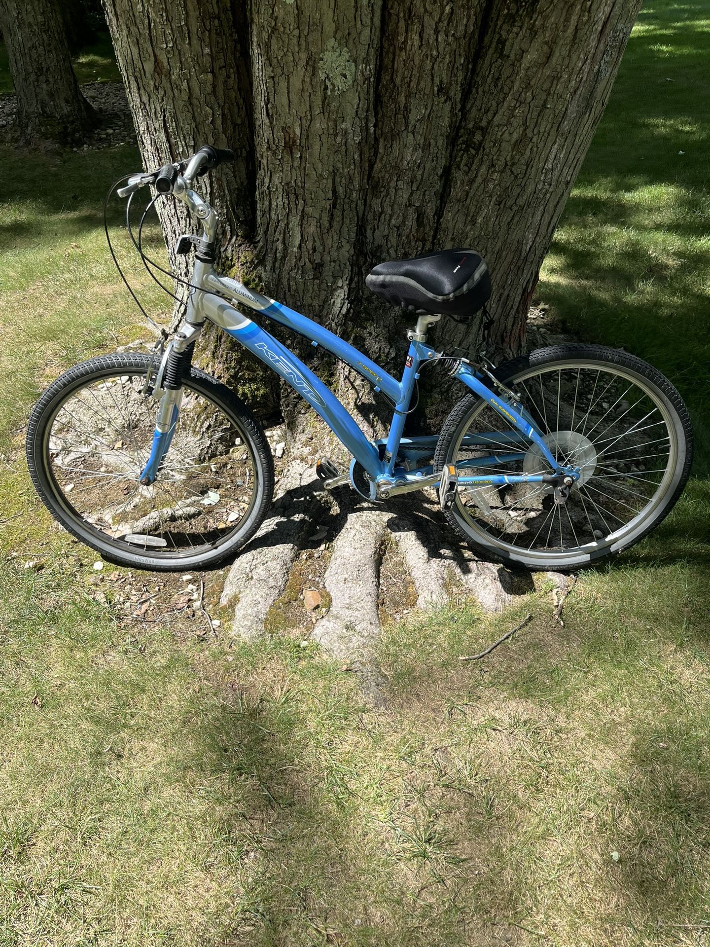 26” Cruiser Bike (7 Speed)