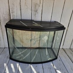 Tank ( Reptile or Fish ) 100 Gal