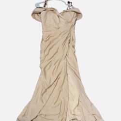 Champagne Dress