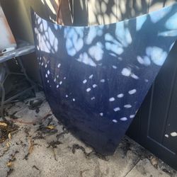 3rd Gen Acura Tl Hood And Fender