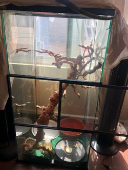 Lizard tank and lights and decorations everything included except the lizard