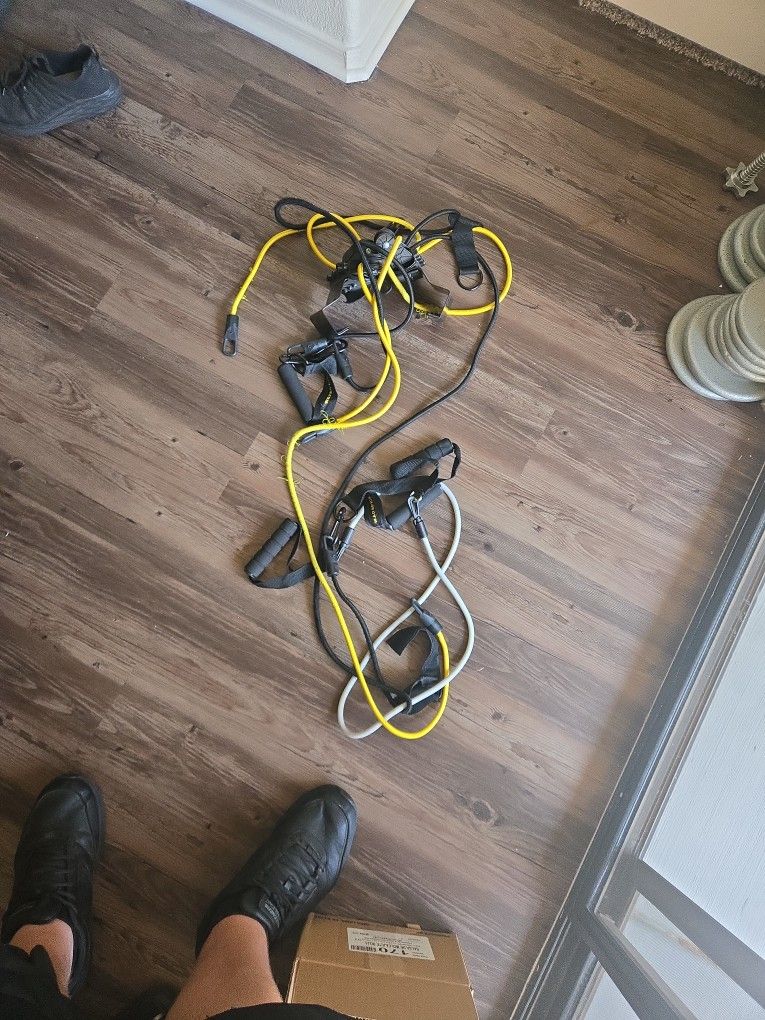Golds Gym Door Cable System