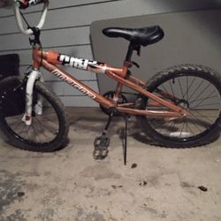 20 Inches Boy Bike 