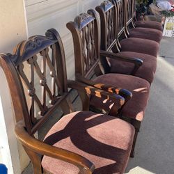 Dinning Chairs