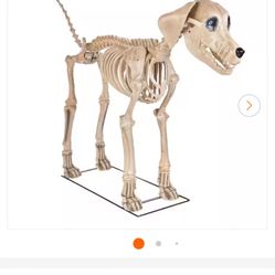 Skeleton Dog