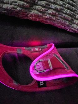 Light Up Dog Harness 