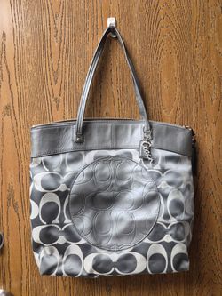 Coach Signature Daisy Tote and Matching Wallet