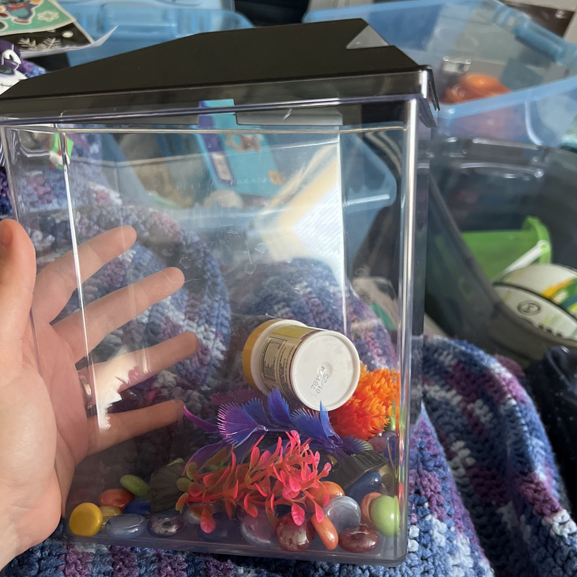 Small Fish Tank