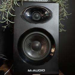 M Audio BX5 Monitors (PAIR)