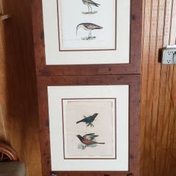 Artwork Birds