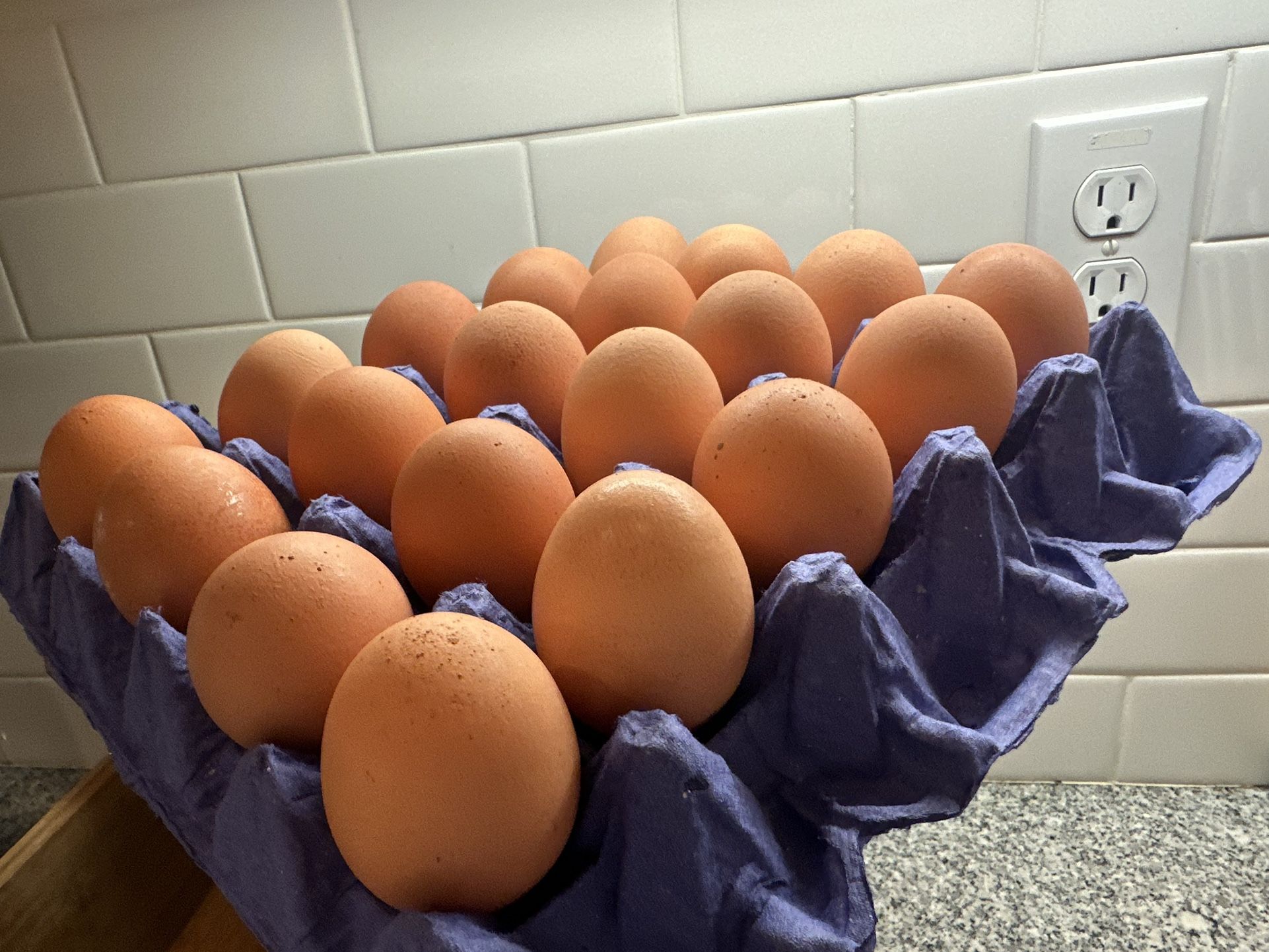 Free Range Organic Eggs