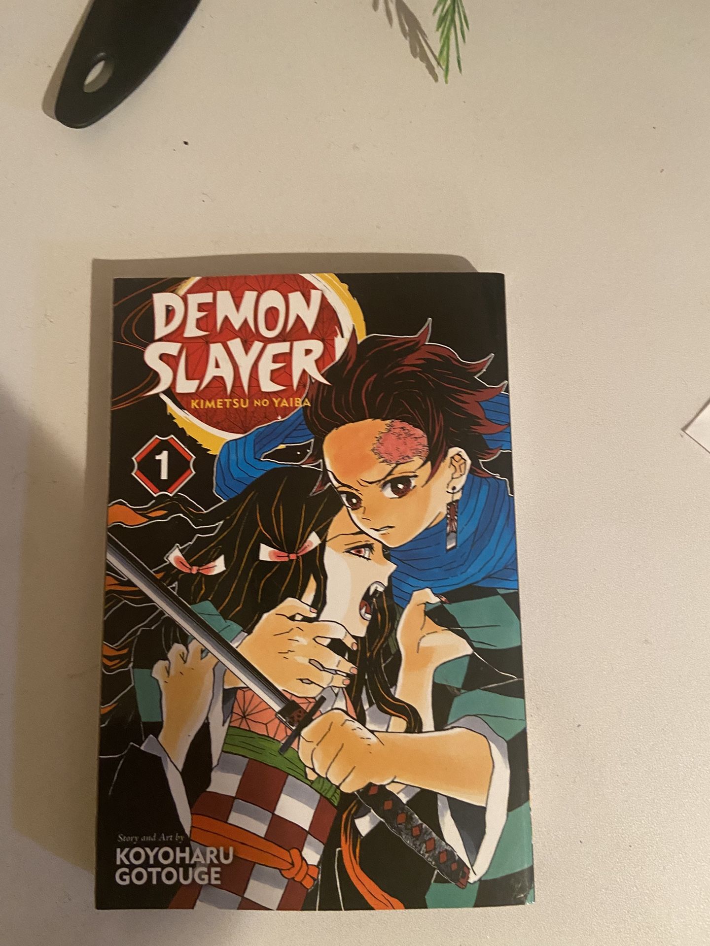Demon Slayer Manga