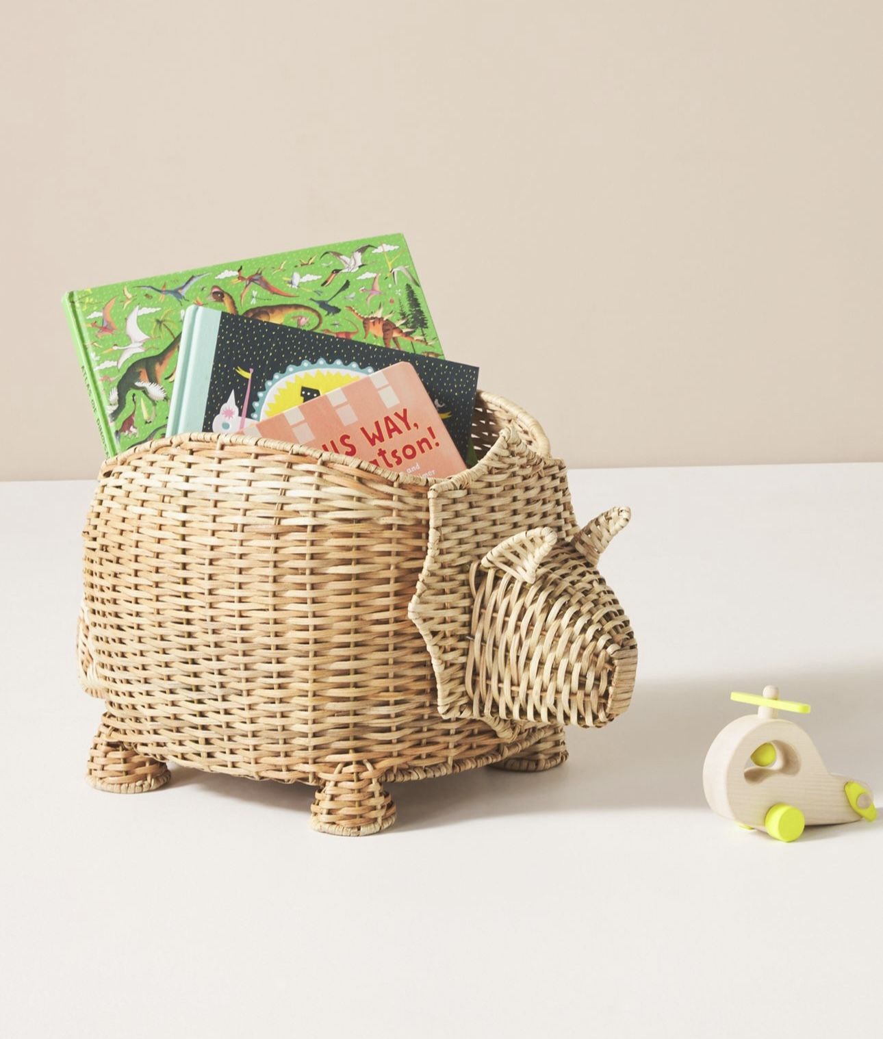Anthropologie Dino Basket