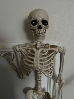 Full Size Human Skeleton Model Replica