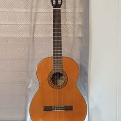 Acoustic guitar 