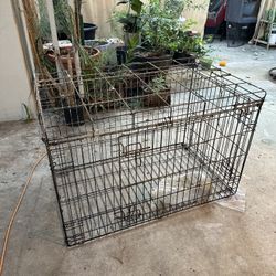 Large Cage