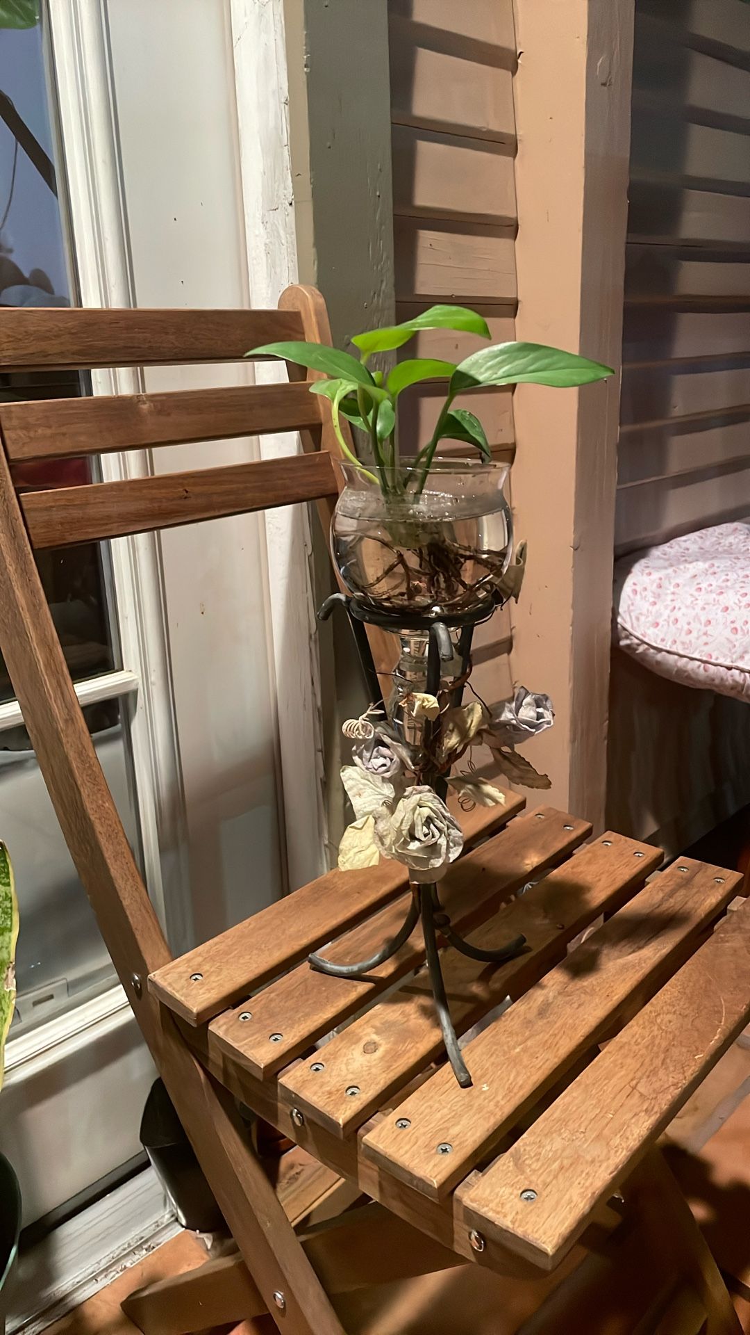 Plant