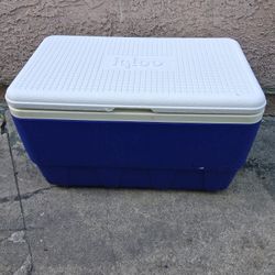 Igloo  Cooler 