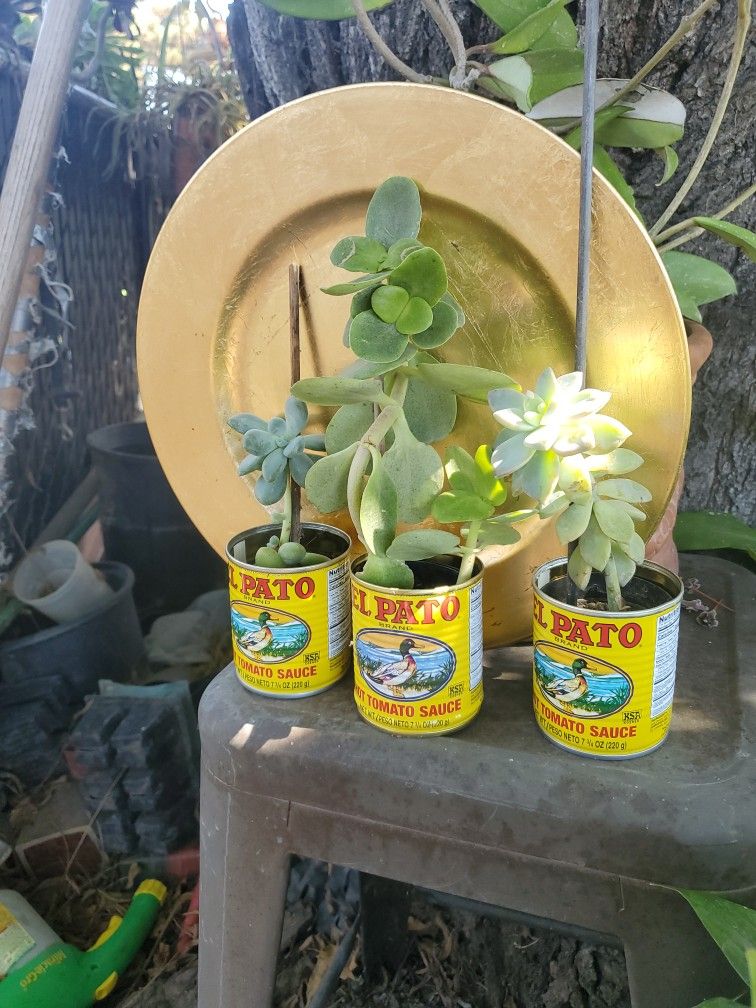 Centros De Mesa Estilo Mexicano Para FiestaSon 10 X