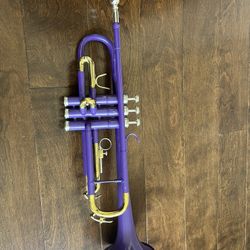 Trumpet With Mouthpiece 