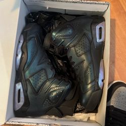 Jordan 6 All Star Chameleon 