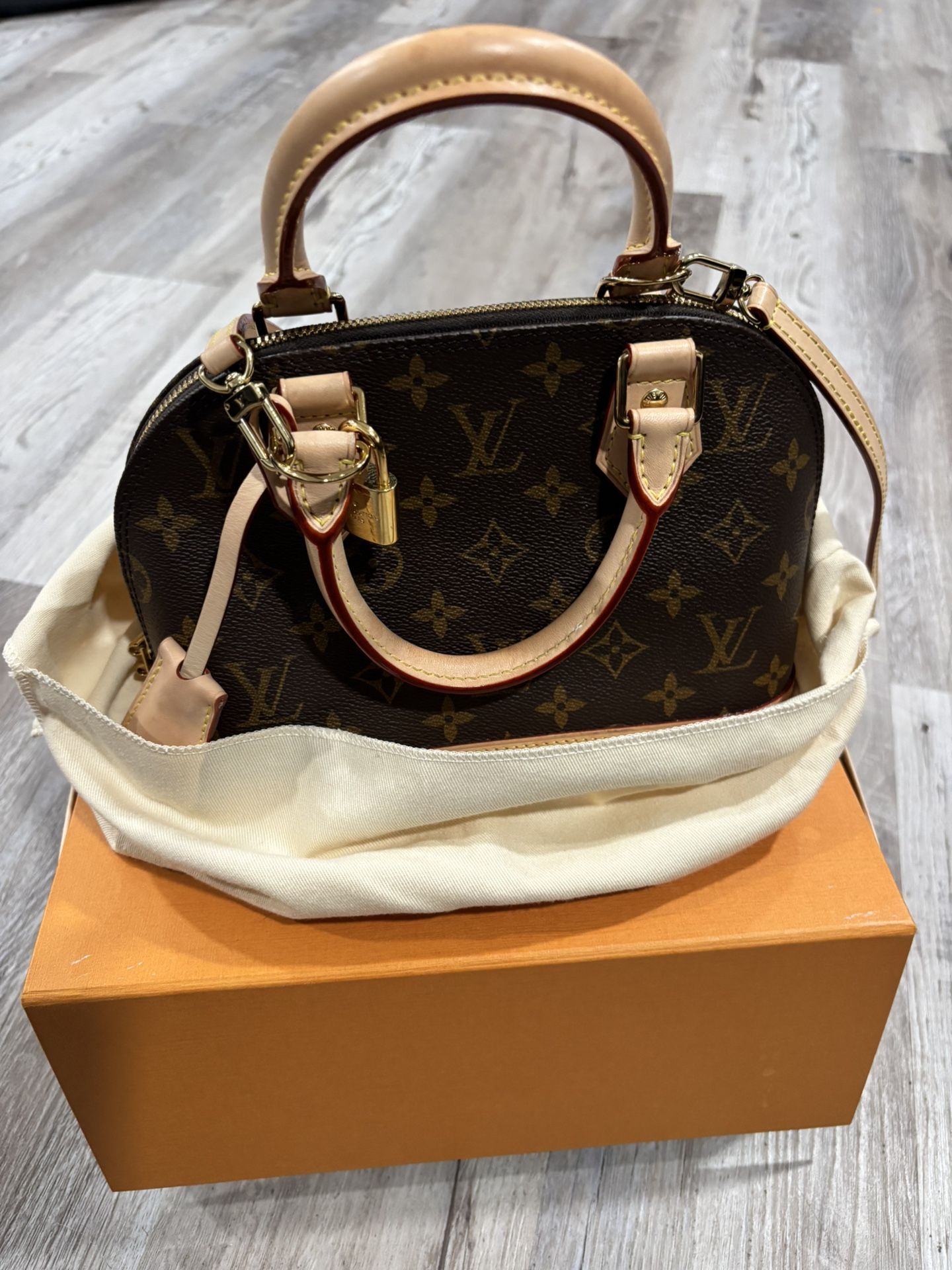 Louis Vuitton Bag