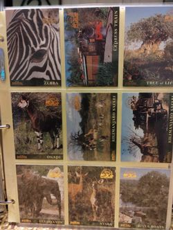 Disney Animal Kingdom Collectable Cards-36