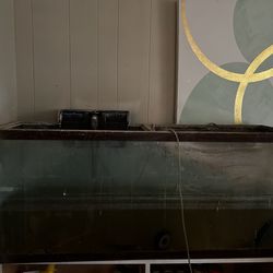 Fish Tank 40 Gallon 