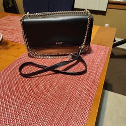 DkNY Purse 