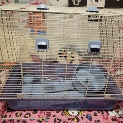 Hamster Cage