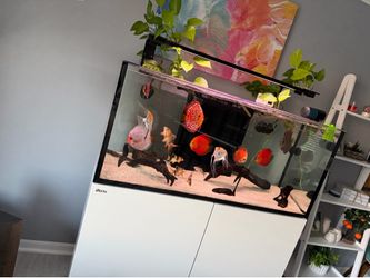 Red Sea Reefer 350 G2+ System Reef Ready everything included