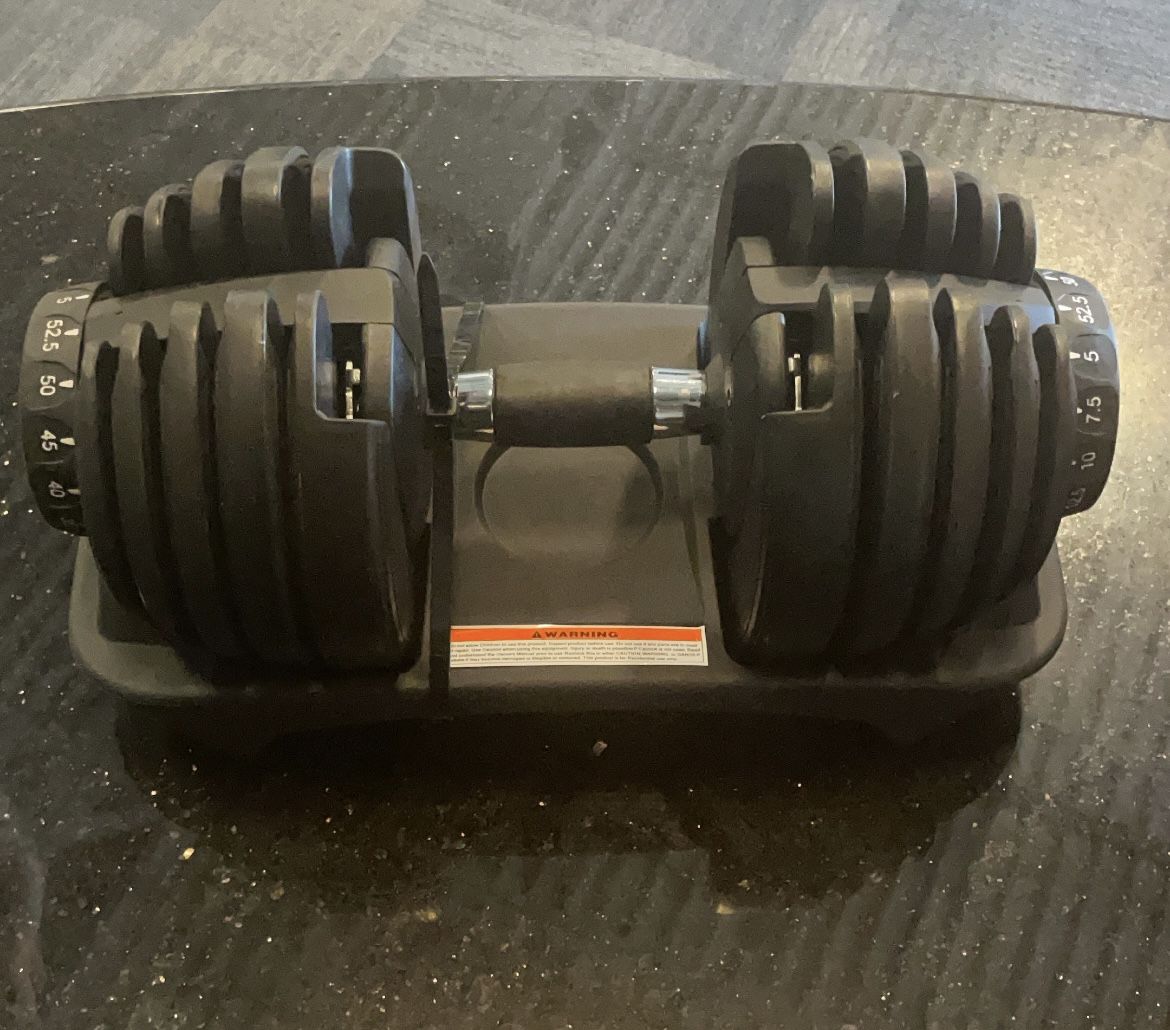 Adjustable Dumbbells - Sold As Set (2) / OBO