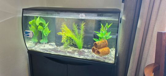 32.5 Fluval Flex W/Stand