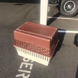 large dog case