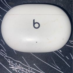 Beats Buds Case No Ear Pods