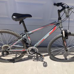 Nishiki Mountain Bike 