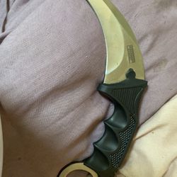 Karambit Hawksbill Fixed Blade Neck Knife Black Silver CSGO Doppler Concealed