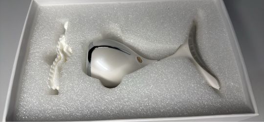 White and Chrome Facial Massager Device