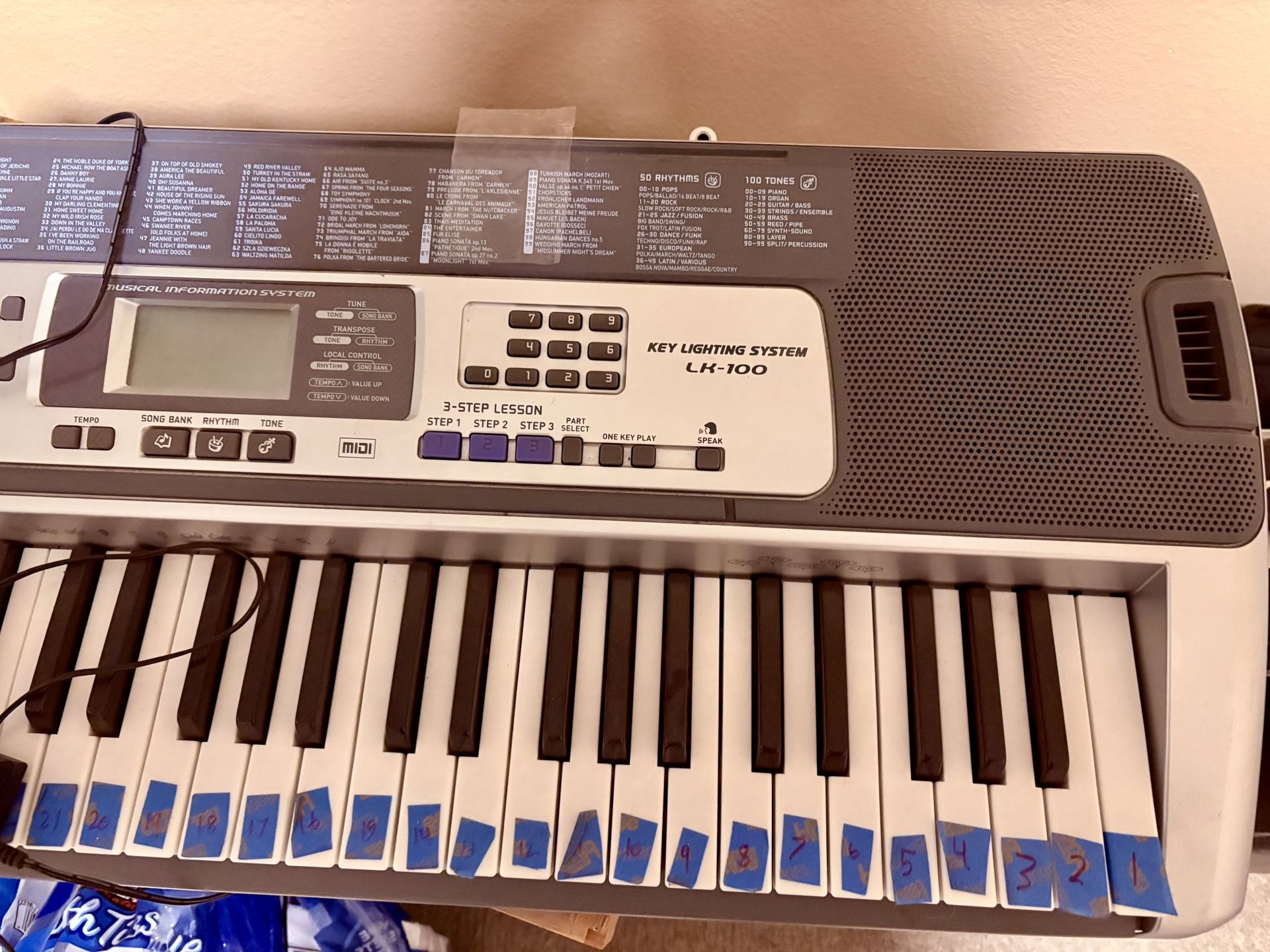 CASIO LK-100 Electronic Keyboard