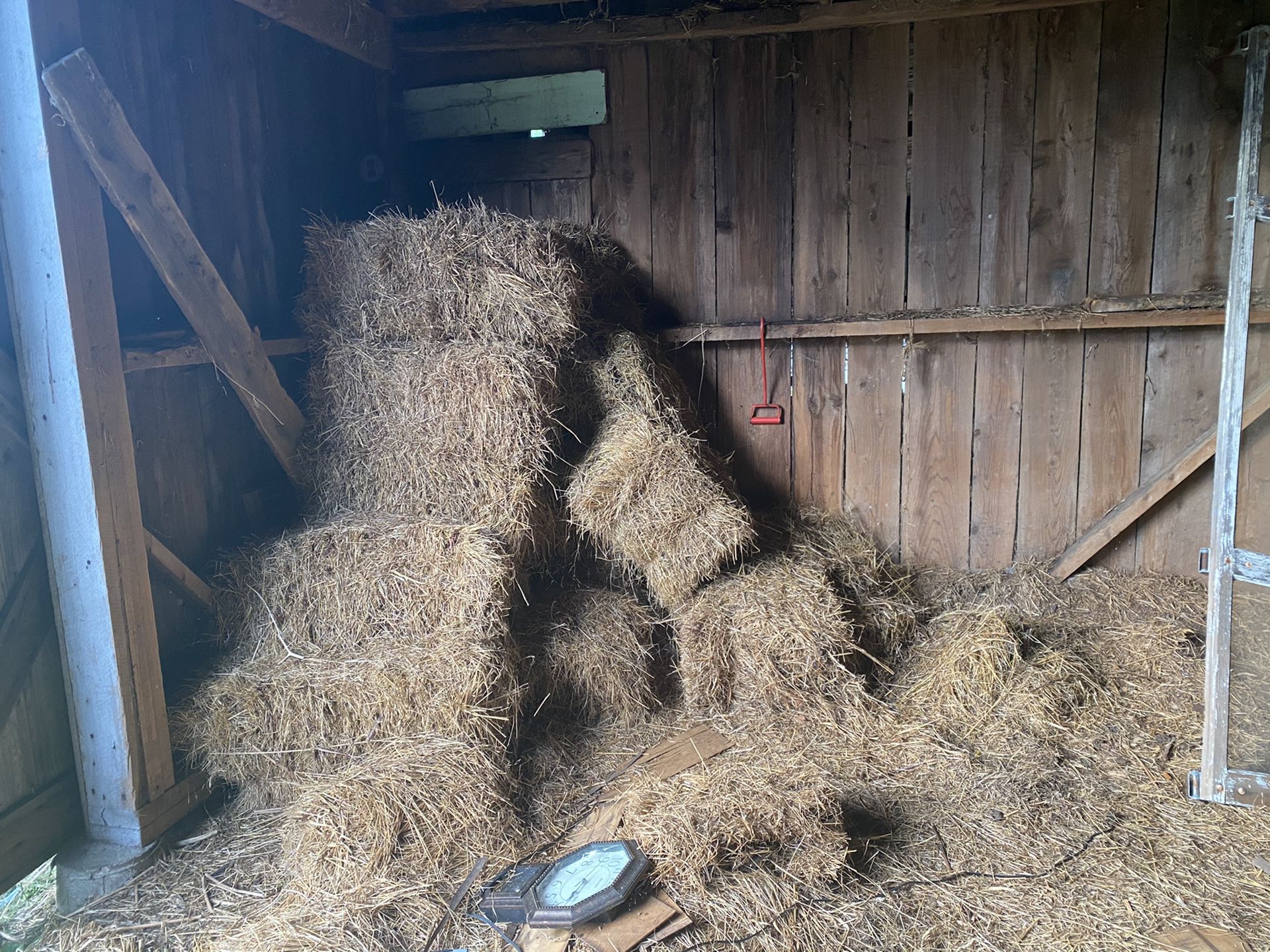 Hay Bale for sale