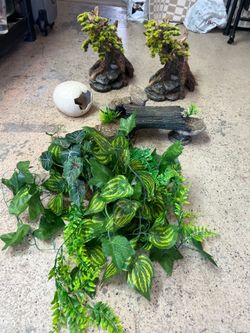 Aquarium decor