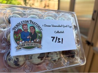 Fresh Quail Eggs! Fertile and Eating