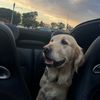 kklo