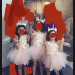 Halloween Costume Fairy Unicorn Princess