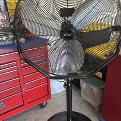 Fan 
