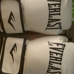 Everlast Boxing Gloves