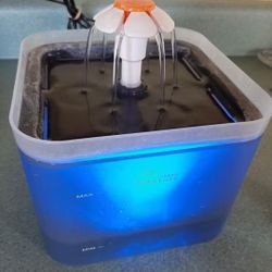 Pet Fountain