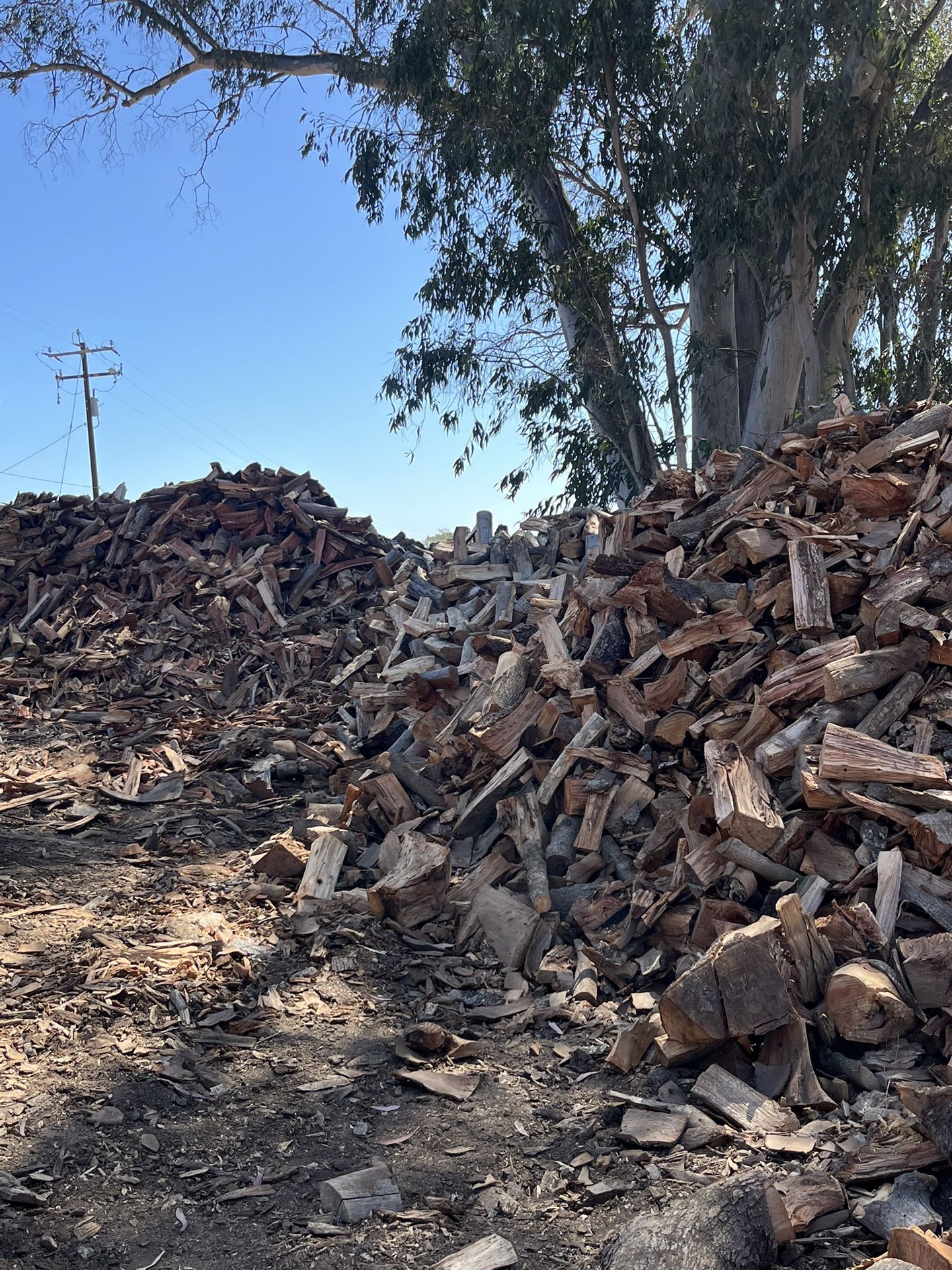 Firewood
