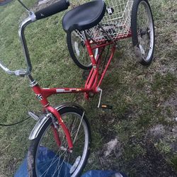 Miami Sun Tricycle 